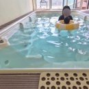 고기극찬춘천점 | 춘천 서로하우스 빌라M 6개월 아기와 다녀온 후기 진짜좋음 극찬