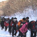 태백산 - 김포시 양곡3로1번길 26-5 | 태백산