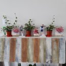 SM공인중개사사무소 이미지