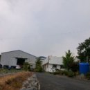 풍산태사로(서후면) 이미지