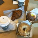 뉴스테이A 경로당 | [25주차 임산부의 8월 시드니] 3일차: 비오는 시드니대학교, 뉴타운, Grana, 오페라하우스☔️