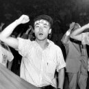 뉴라이트NL