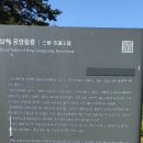 삼척 공양왕릉(三陟 恭讓王陵)-삼척시 근덕면 궁촌리 178 이미지