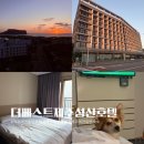 더베스트 | 제주 애견동반 호텔 가성비와 위치가 좋은 숙소 더베스트제주성산호텔 내돈내산 후기