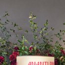 모비딕 | 빌라쥬드 아난티 캐빈 모비딕마켓 룸서비스 이용후기