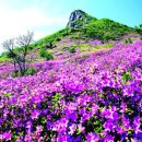 경남 합천군ㆍ산청군, 황매산 이미지