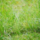 주식회사 누리숲 이미지