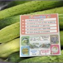 가브리엘농장 이미지