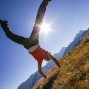 짐엑스텐 이미지