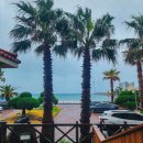 오션팔레드 이미지