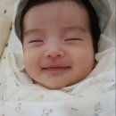 JJ복싱 이미지