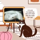 웰 동물병원 이미지