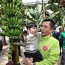 안고농장 이미지