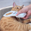 원헬스 동물의료센터 이미지