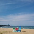 금진마트 | [강릉여행] 강릉금진리321카라반/ 금진해변 숙소 추천