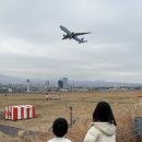 주식회사 제주무지개투어 | [제주 아이랑 체험 추천]제주시 공항근처 가격착한 요트투어 @블루원 요트투어 후기