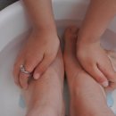 안중파랑새유치원 이미지