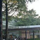 챌린지골프연습장 | 서울 인도어 연습장 추천 메이필드호텔 골프연습장 후기