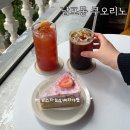 대청로 | 남포동 카페 쿠오리노 케이크 맛집임 내돈내산 찐 후기