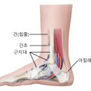 충무새힘한의원 이미지