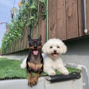 은혜할인마트 | 2026!!!!