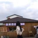 금능초등학교 이미지