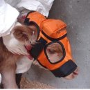 모자축산 이미지