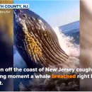 은혜사슴목장 이미지