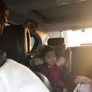 연세패밀리의원 네이버블로그