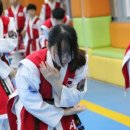 신제일 태권도 이미지