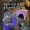 사진나라 - 남동구 구월남로 283 | 울산 자수정동굴나라 보트 후기ㅣ예약·가격·소요시간· 꿀팁까지 완벽정리