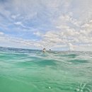 투율하우스 | 보홀 자유여행 3박5일 | 친구와 단둘이 리얼 후기