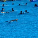 우창 검도관 이미지