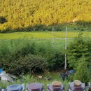 생태농원소향 이미지