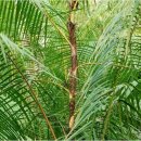 초등 라탄공예 이미지