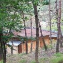 사평자연휴양림 네이버블로그