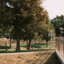 매정공원 이미지