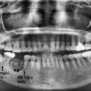 보스톤미소치과의원 이미지