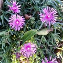 서귀포열린병원 이미지