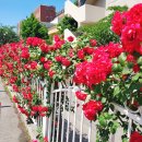 연세바른신경외과의원 이미지