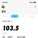 김여주피자