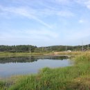 여주-0911 이미지