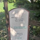 1765 | [강원 횡성] 1765 삽교 (후기, 영업시간, 메뉴, 횡성 카페, 시골 감성 카페)