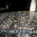 서프라이즈월드 이미지