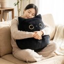 모찌냥