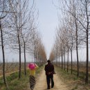 영성농장 이미지