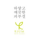 디자인시소 네이버블로그