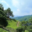 크로바목장체험 이미지