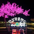 경관조명함체(안성천) | 아이와 가볼만한 곳-안성맞춤랜드/코스모스 명소/ 바우덕이축제/안성천/서안성체육공원,승두천 ( 주차정보)