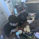 세븐일레븐 부산부곡동현점 | 7월의 일기